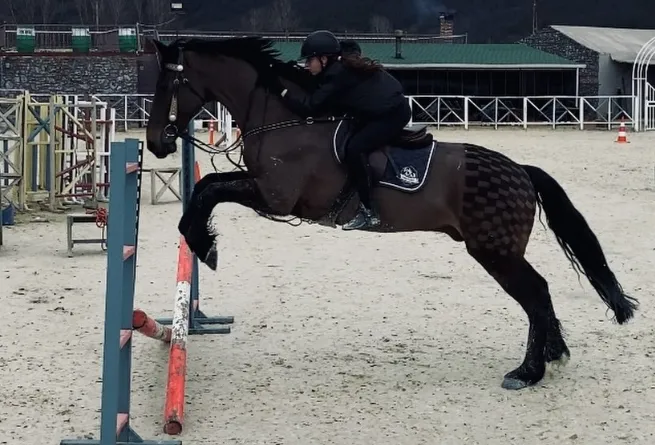 Binicilik Eğitimleri