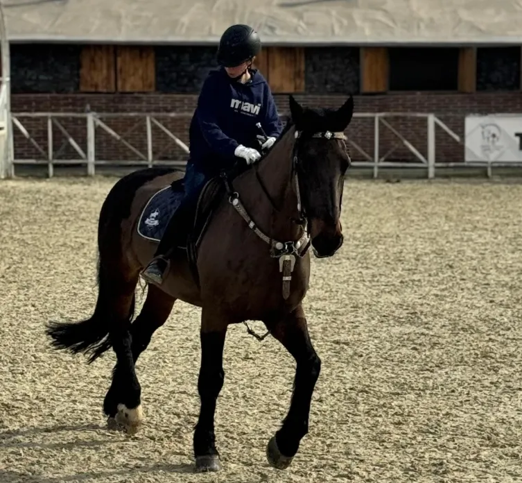 Çocuk Binicilik Programları